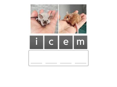 科学：认识动物