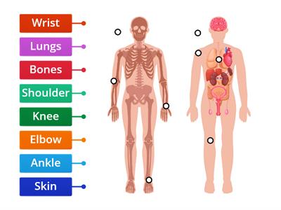 Parts of the body Open world B1