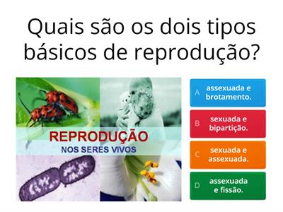 Reprodução e desenvolvimento nos seres vivos.