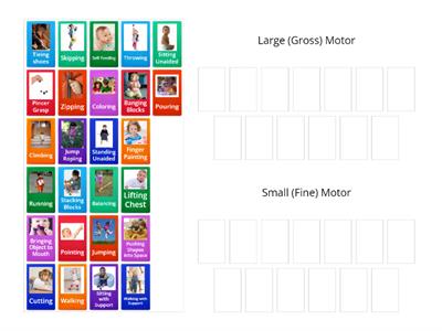 Gross vs Fine Motor Skills