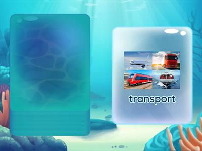 questions, roadmap a2+, 1A