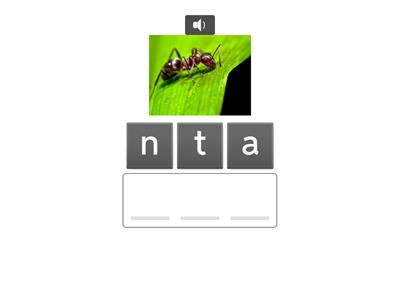 一年級翰林  Hooray 1.2   ABC Review