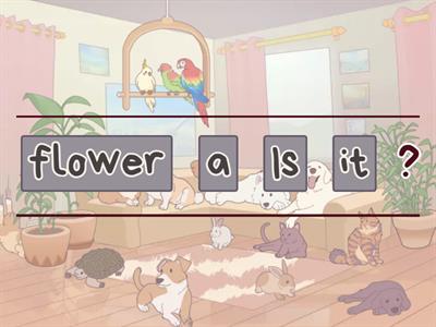 Shine on! 3 unit 3 (Is it ...?)