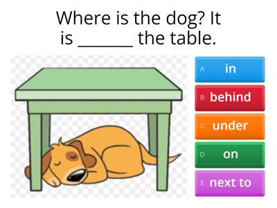 Prepositions (in-on-under-next to-behind)