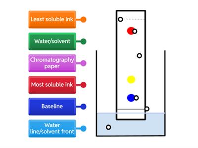 KS3 and 4 Paper chromatography