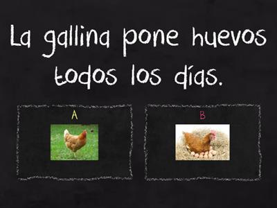 lectura ga gue gui go gu