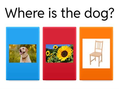 AlRa Identify Objects