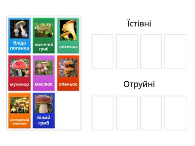  Гриби: їстівні та отруйні