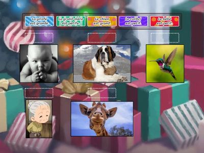 petit grand / small tall