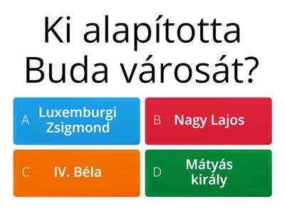 Buda, a középkori királyi város