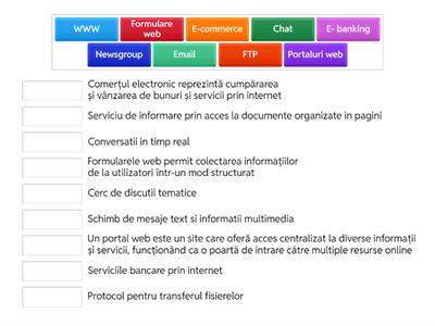FISA DE LUCRU  SERVICII INTERNET