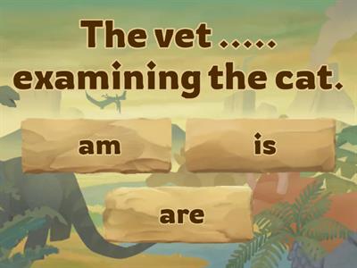 present continuous tense- quiz