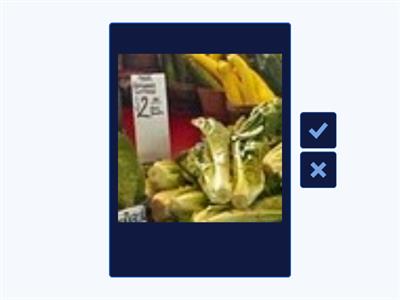 Places and buildings cropped English file elementary 10A