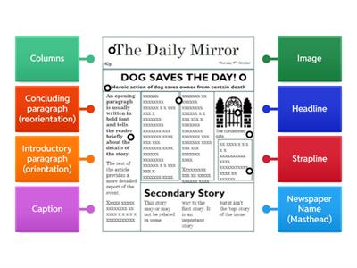 Newspaper Organisational/structural features
