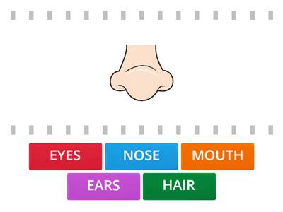 PARTS OF MY FACE