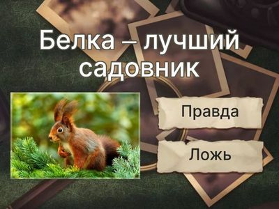 Животный мир