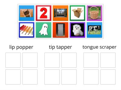 LiPS Beginning Sound Sort # 1 (