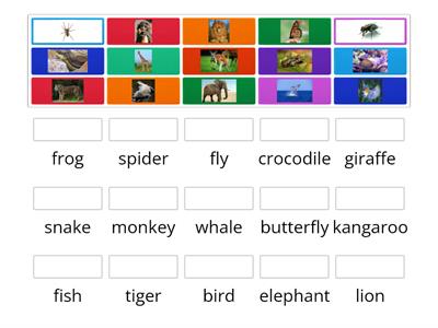 English Class A1 Unit 7 Wild animals