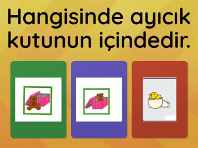 İÇİNDE - DIŞINDA