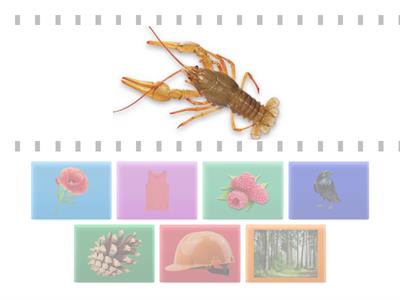 Дидактична гра "Підбери рими"