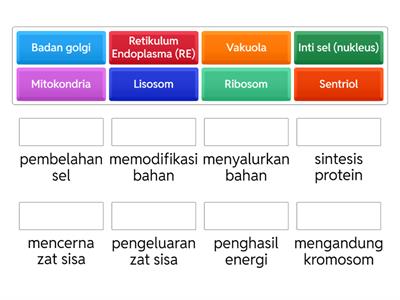 Struktur dan Fungsi Sel