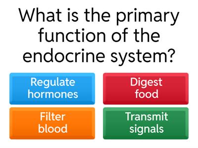 Endocrine System Quiz