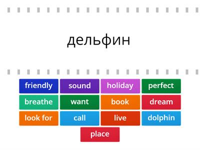 A239 CB p.36 Dolphin Dreams