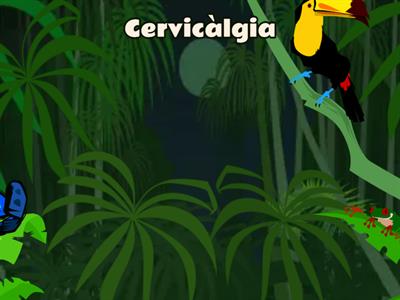 Clica sobre les fruites si corresponen al que es descriu