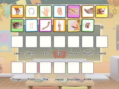 What Part of the Body Am I?