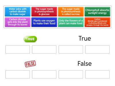Photosynthesis T or F?