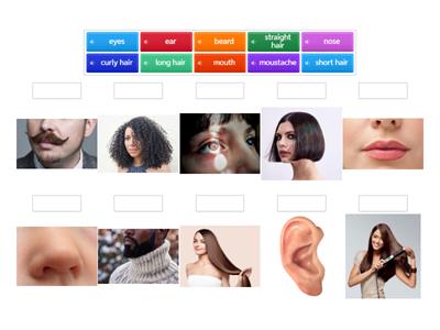 Appearance vocabulary