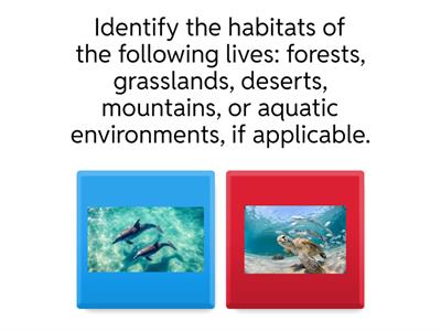 habitat of animals