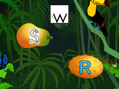 G1&2 Qq-Zz Upper / lower Flying Fruit