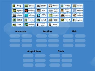 Classifying vertebrates 