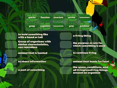 C11L1: Structures and Functions of Organisms (5.13A)