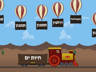 בעליי חיים