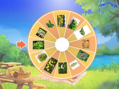 Херсон ЗДО №22 Галина Лебедєва Лікарські рослини