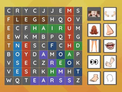 Look 1 Unit 5 Review 