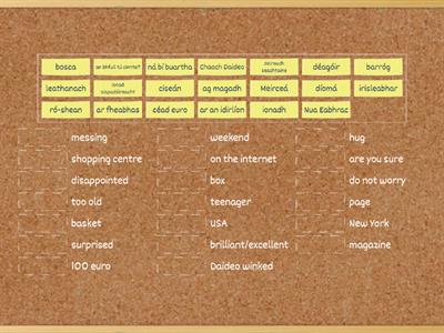 Irish Vocabulary Revision