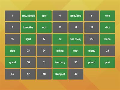 Root Word Memory Game