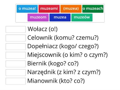 muzeum - odmiana przez przypadki w liczbie mnogiej 