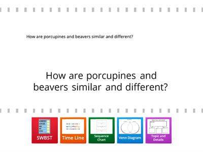 Find the graphic organizer 2