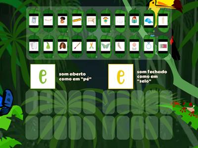 3.2 Letra e - Som verde ou som amarelo?