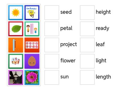 Vocabulary review part 1