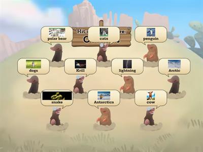 Polar Bears and Penguins