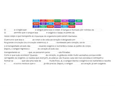 Sistema Circulatório: Texto com Lacunas II