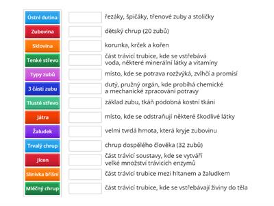 Y8_Trávicí soustava - vysvětlení pojmů