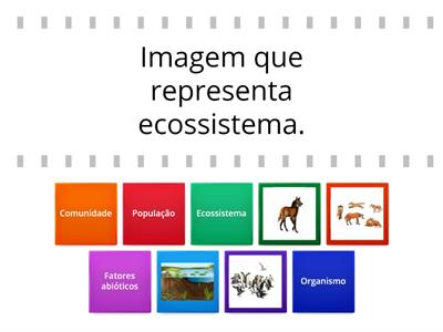 Conceitos ecológicos 