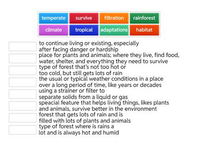 Rainforest Vocabulary