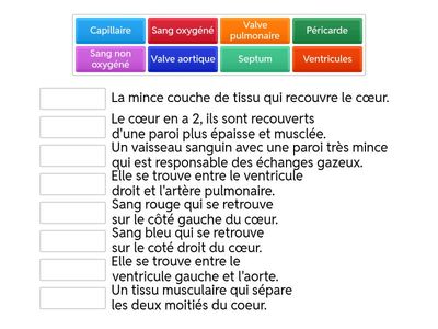 Le système circulatoire
